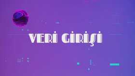 veri girişi ve düzenleme süreçlerini titizlikle yönetirim