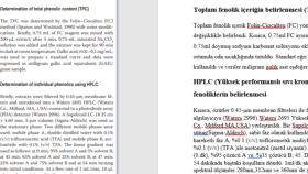 Hızlı & Düzenli Çeviri