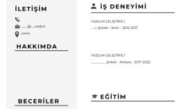 profesyonel cv ve ön yazı hazırlarım