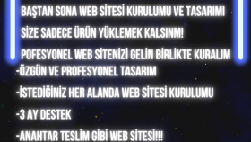web sitenizi baştan sona profesyonel bir şekilde kurabilirim