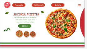 WEB TASARIMI