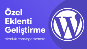 wordpress eklentisi yapabilirim