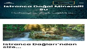 Web sitesi düzenleme