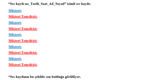 İngilizce ve Türkçe ses kayıtlarınız deşifre edilir