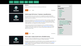 Wordpress tema entegrasyonu
