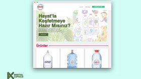 Web Sitesi Tasarımı - İş Örneği