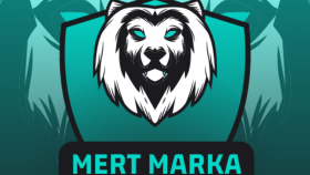 logo tasarımlarını yaparım