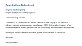 Hızlı ve Doğru İngilizce-Türkçe Çeviri Hizmeti