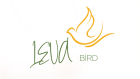 LOGO TASARIM
