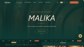 full stack web sitesi ve dashboard geliştiririm