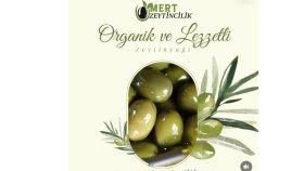 Mert Zeytin 2