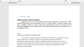 Tureks şirketi web sayfası İngilizceden Rusçaya çevirisi
