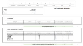 Maliyet Analizi Formu