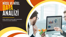 SPSS, AMOS veya Nvivo'daki verileri yorumlayıp raporlarım