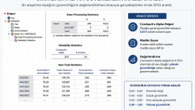 Cronbach Alpha Güvenilirlik Analizi Örneği