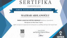 sitenizi lisanslı tema ile anahtar teslim hazırlarım
