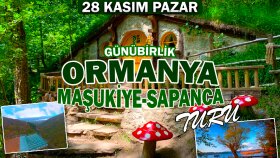 Eral Yiğit Tur-Afiş tasarımı