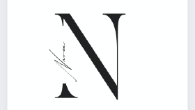 Naven logo çalışması