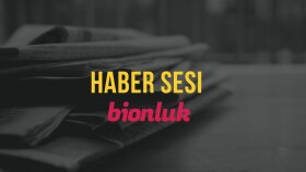 Bir Haber Örneği