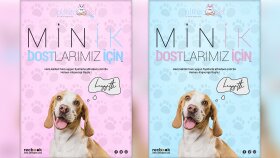 Alfred Pet Banner Tasarımları