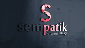 logo tasarımı