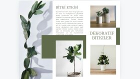 broşür ve kataloglarınızı uygun estetikte oluşturabilirim