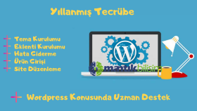 wordpress kurulumu yapabilirim