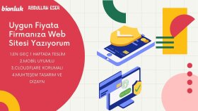fırmanıza profesyonel web sitesi yazabilirim