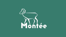 Montéé - Logo Tasarımı