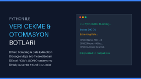  Python ile veri çekme botu ve otomasyon hazırlarım