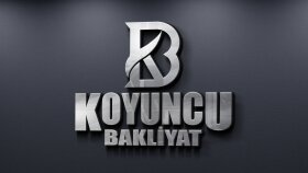 Koyuncu Bakliyat