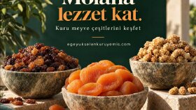 Yükselen | Kuru Meyve Reklam Tasarımı
