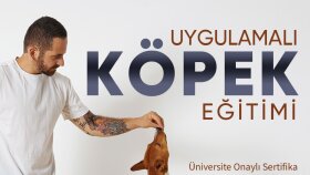 Sosyal Medya Reklam ve Post Tasarımları