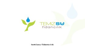 entryUp! Creative Logos