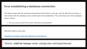 WordPress sitenizdeki sorunları çözerim