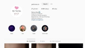 Petrova.co İnstagram Sayfasına Organik Takipçi Gönderimi