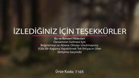 İş Örneğim Özel Tasarım Video Başlıkları, Alt Bant