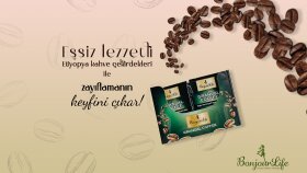 Bonjour Life Slider Çalışması