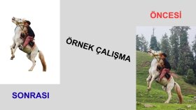 Fotoğraf Arka Plan Kaldırma – Örnek Çalışma