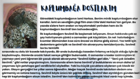 KAPLUMBAĞA DOSTLARIM