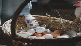 Ürün Yerleştirme & 3d Motion