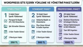web sitenize hızlı içerik ve veri girişi yaparım