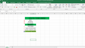 Excel veri girişi ve düzenleme hizmeti veriyorum