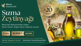 Zeytinyağı Tasarımı