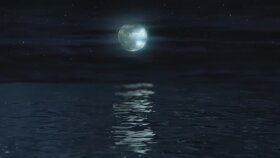 Suno AI Profesyonel Müzik Üretme