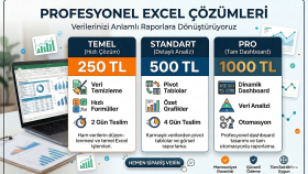 profesyonel Excel çözümleri ve veri analizi sunuyorum