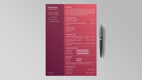 @oykusagann için CV Tasarımı