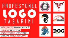 sizin için profesyonel logo tasarımı yapabilirim