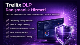 Trellix DLP ürününün danışmanlık hizmetini verebilirim