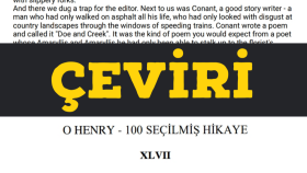 Hikâye&Roman,metin çevirisi yapabilirim 